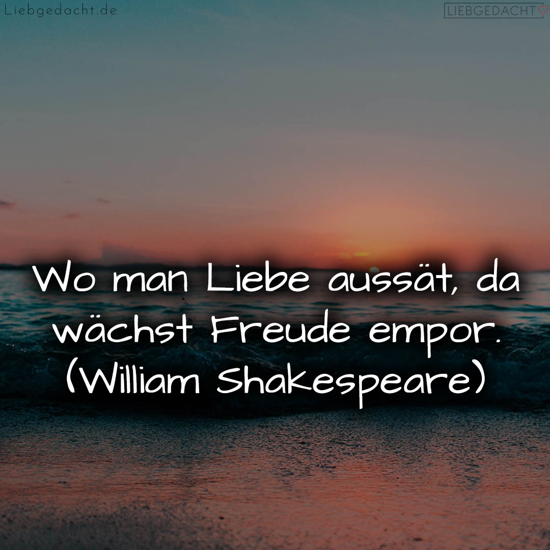 1716373647664dc88f3819b