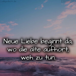 1716373655664dc897f3416