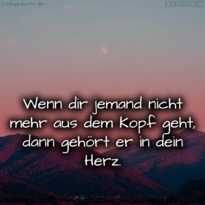 1716373663664dc89f31777