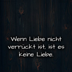 1716373697664dc8c123984