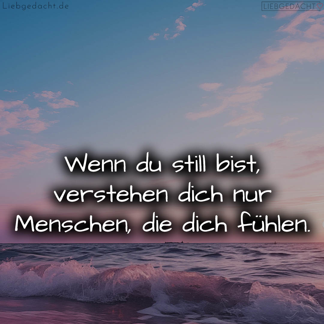 1716373708664dc8cc568c1