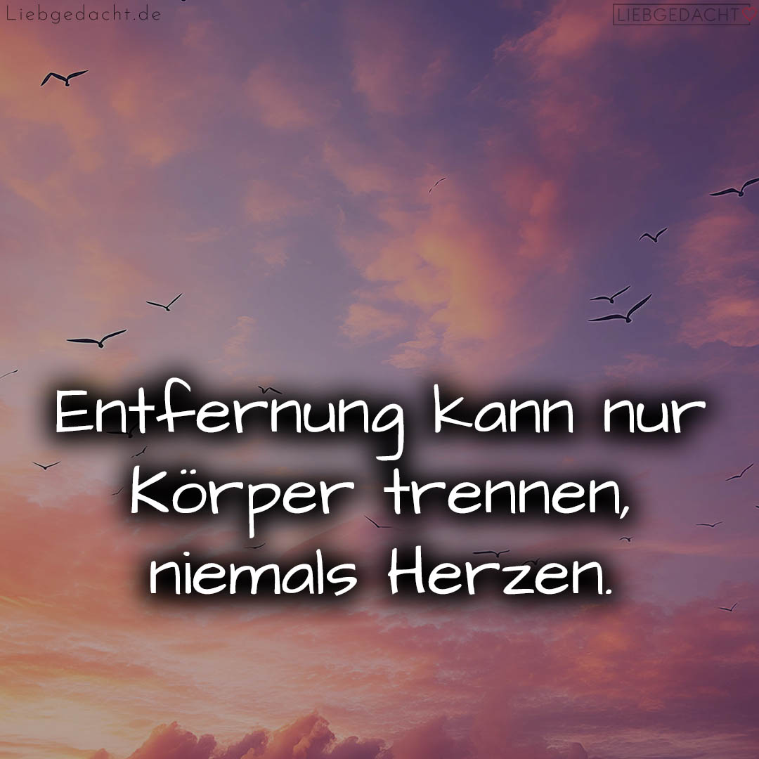 1716373712664dc8d032c82