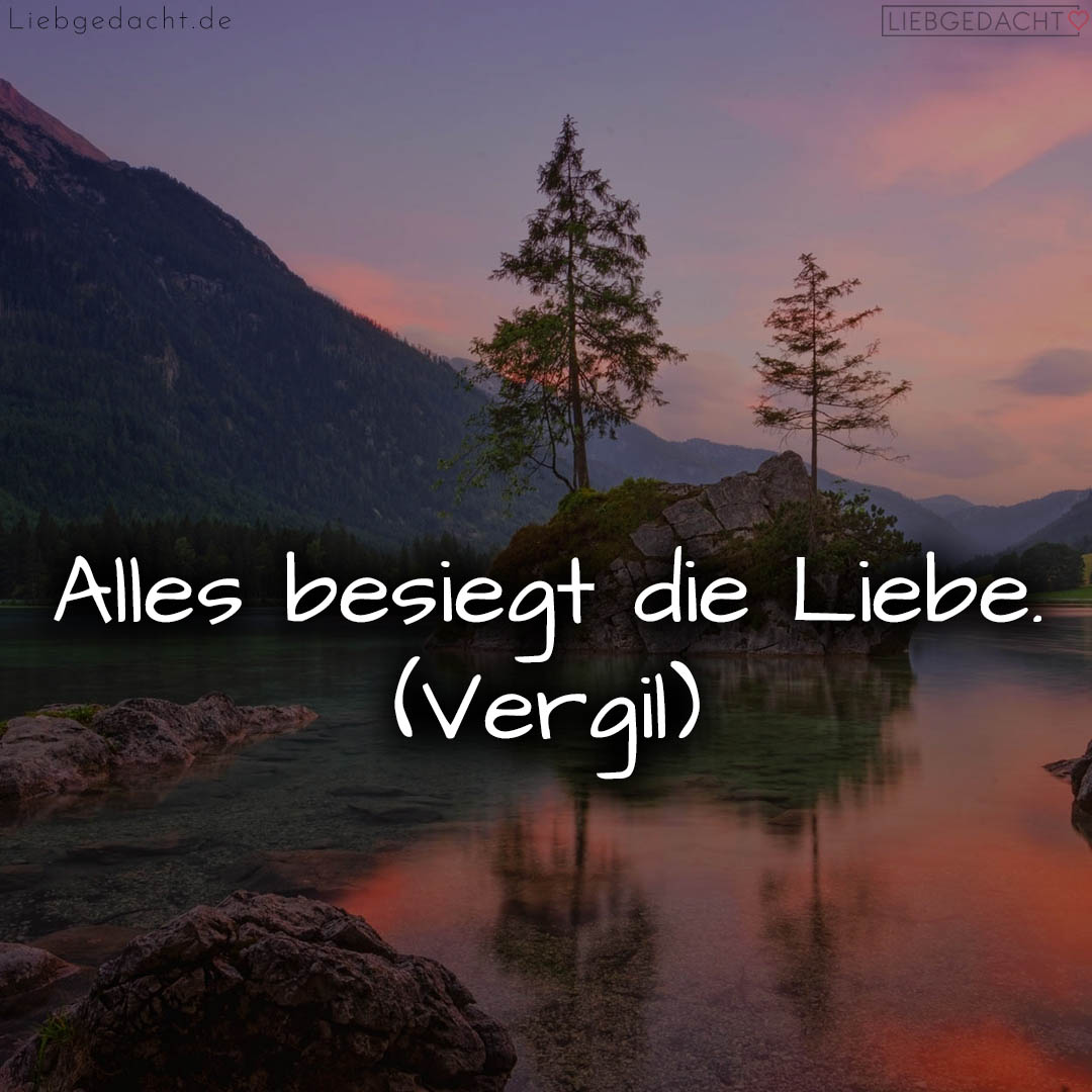 1716373714664dc8d225d4d