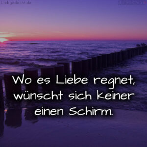 1716373727664dc8df4687f