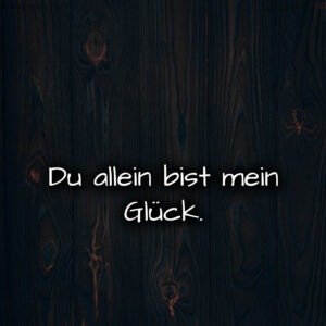 1716373732664dc8e48392c