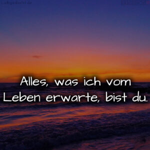 1716373734664dc8e686425