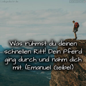 1716373754664dc8fadae46