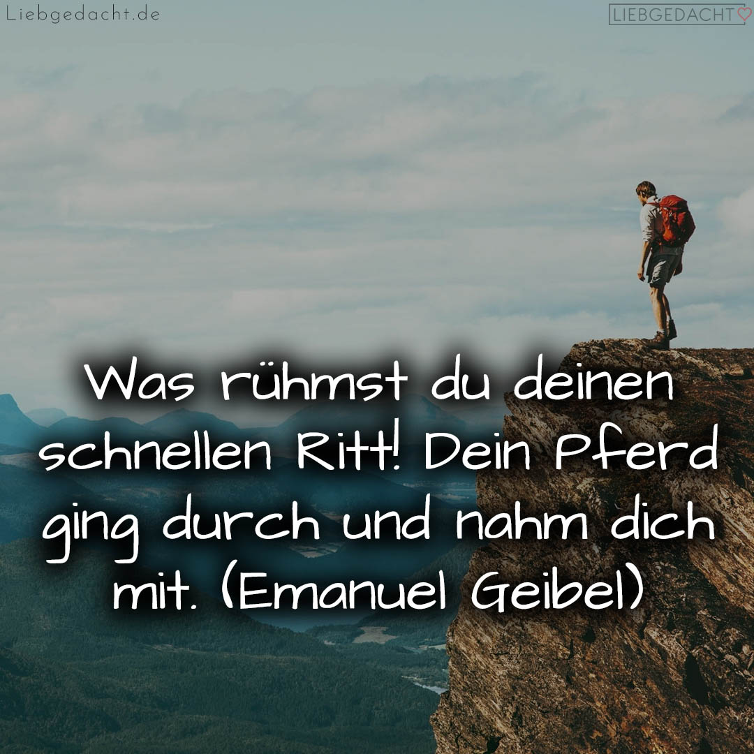 1716373754664dc8fadae46