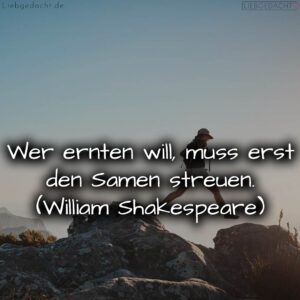 1716373810664dc932ec4b5