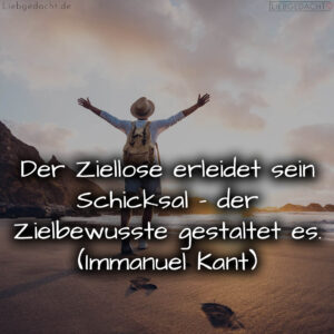 1716373831664dc94742ece