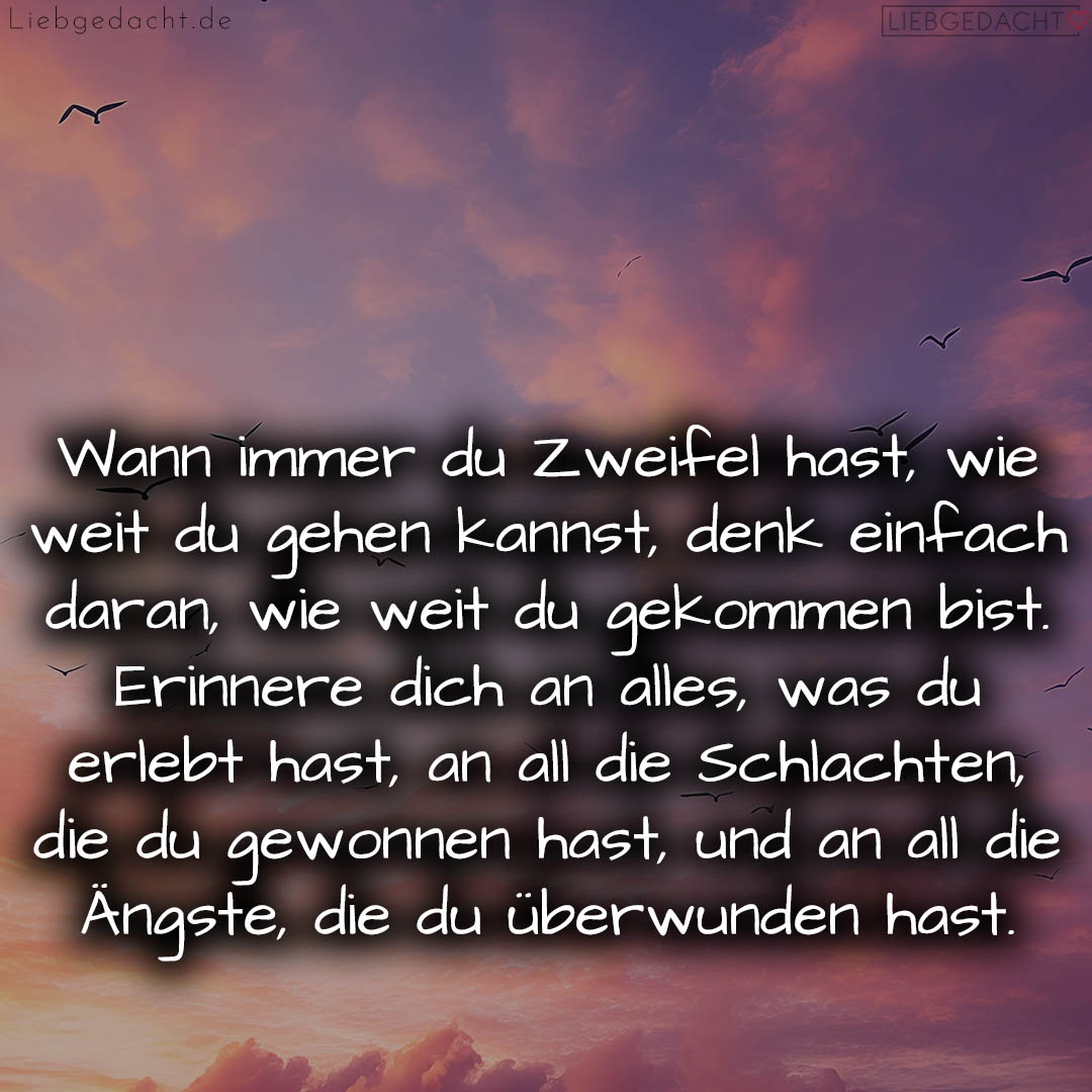 1716373862664dc9664cb44