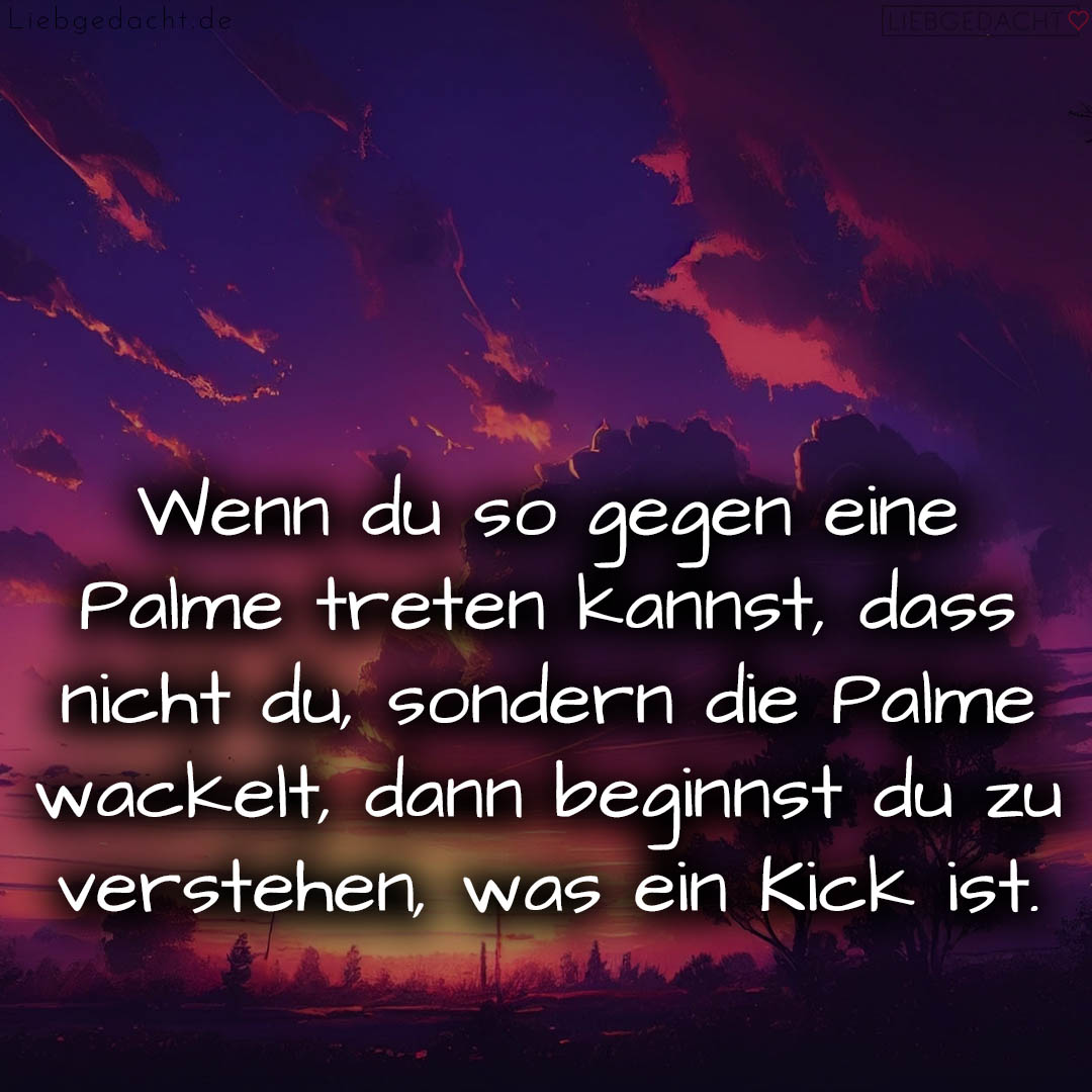 1716373893664dc985221c7