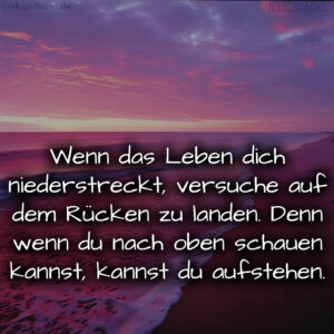 1716373897664dc98988107