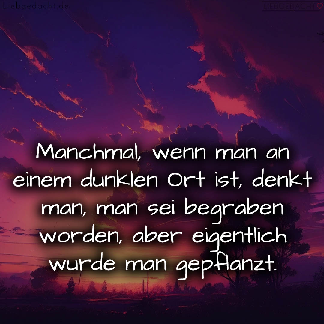 1716373903664dc98f71cca