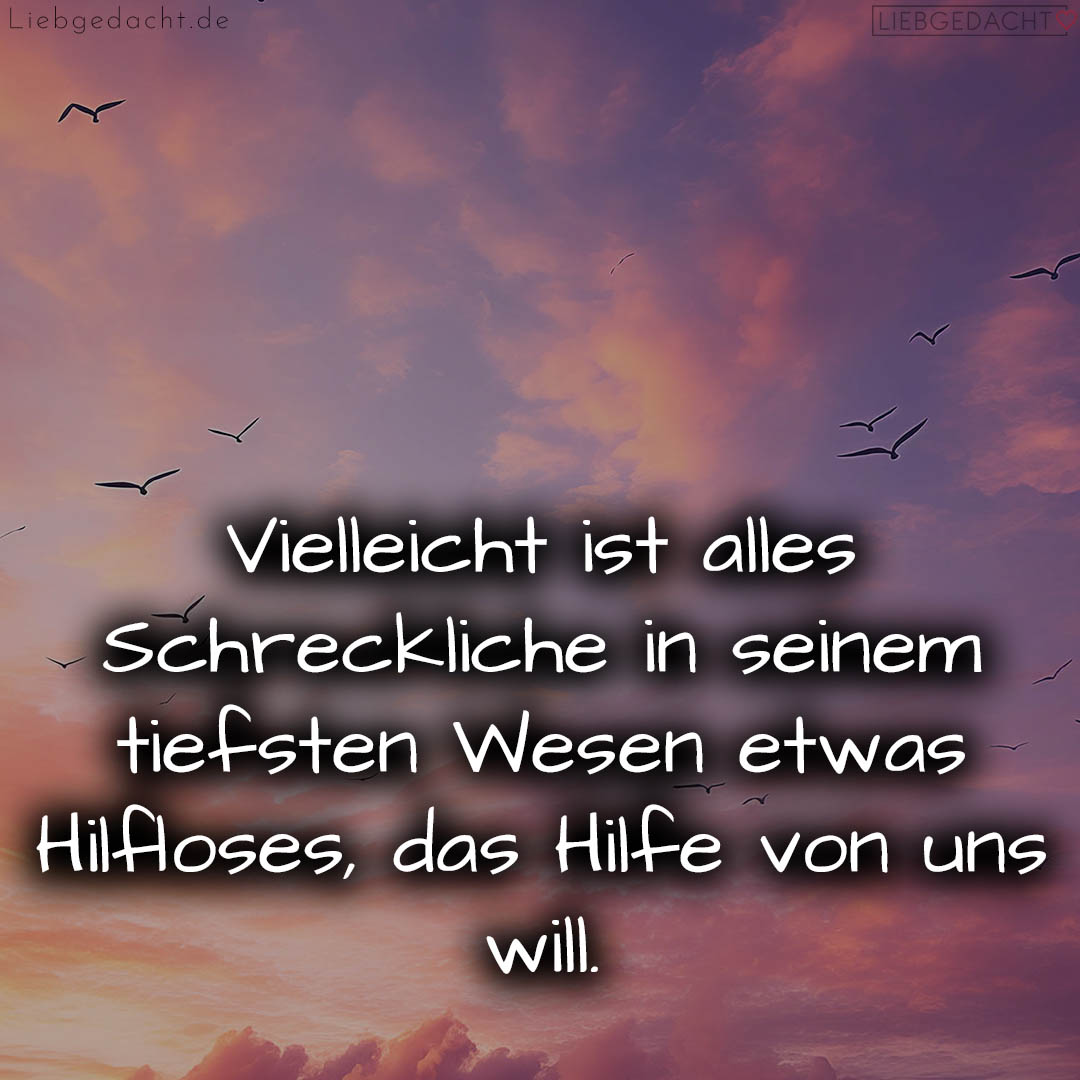 1716373929664dc9a92b600