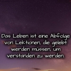 1716373941664dc9b55e690