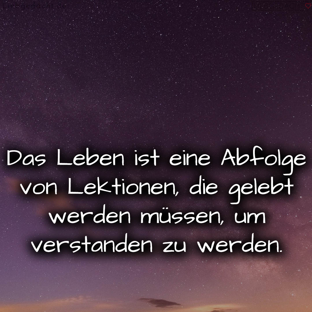 1716373941664dc9b55e690