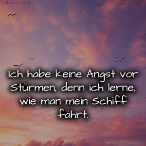 1716373957664dc9c5a7010