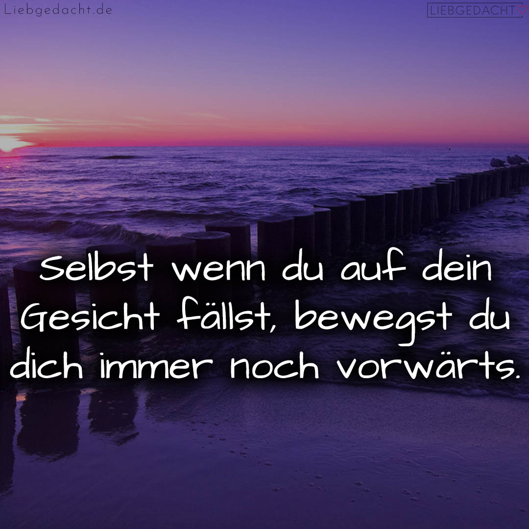 1716373961664dc9c97900e