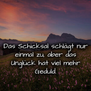 1716373969664dc9d1123f9