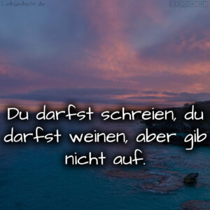 1716374005664dc9f5453bc