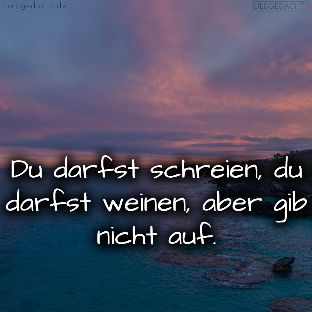 1716374005664dc9f5453bc