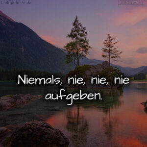 1716374049664dca21dec83