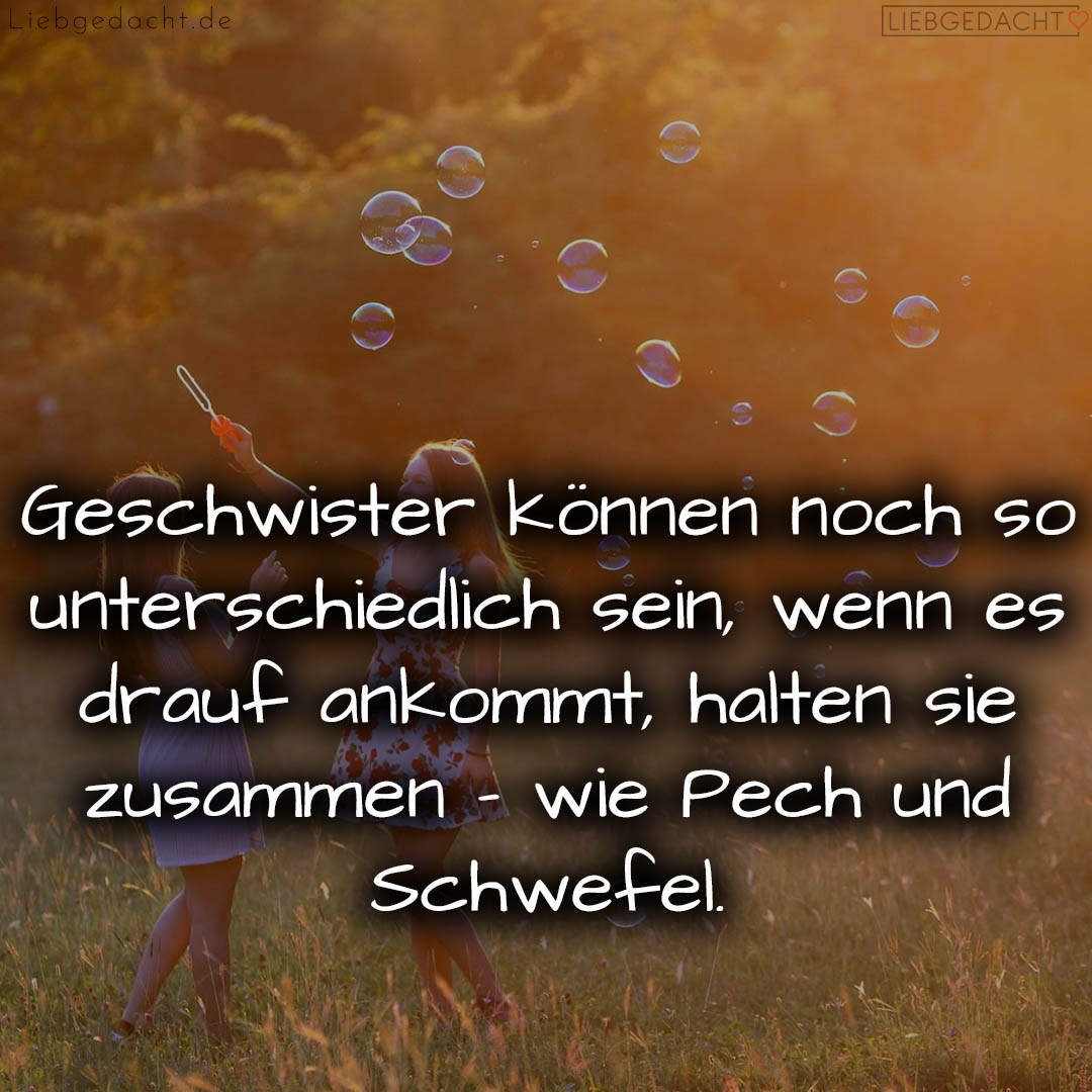 1716374369664dcb6109a0f