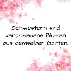 1716374511664dcbefa601c