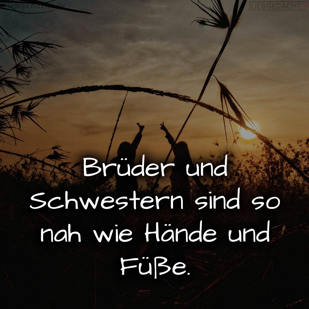 1716374514664dcbf20bee9