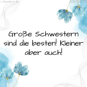 1716374520664dcbf8482e5