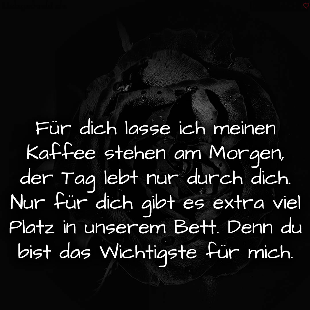 1716374559664dcc1f73e61