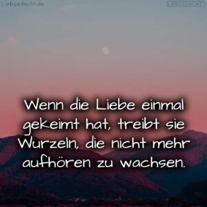 1716374639664dcc6f020f3