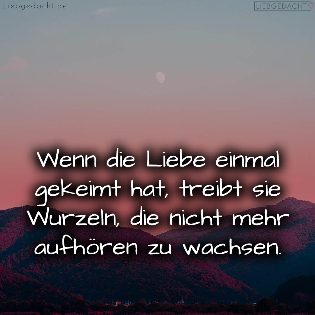 1716374639664dcc6f020f3