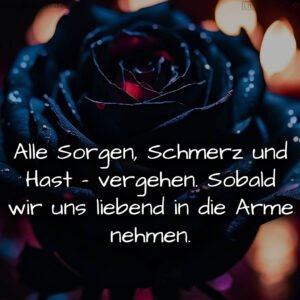 1716374663664dcc87691d8