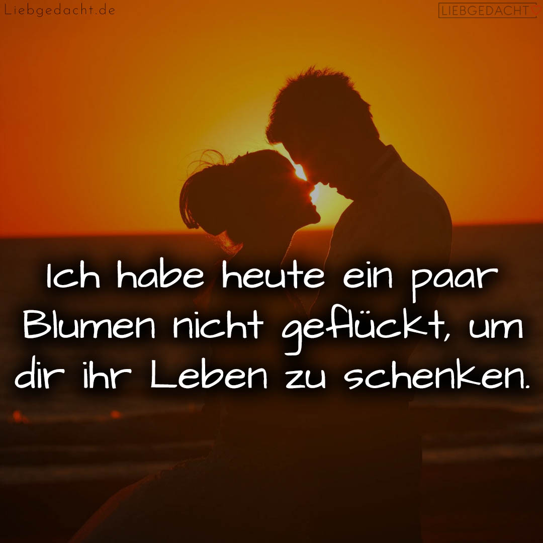 1716374684664dcc9c93d1d