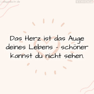 1716374705664dccb16b453