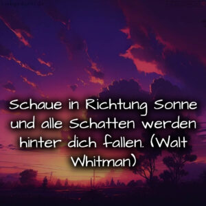 1716374776664dccf824373