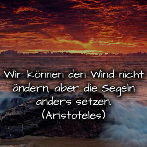 1716374778664dccfaf016a