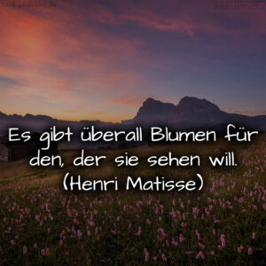 1716374780664dccfcc96e4