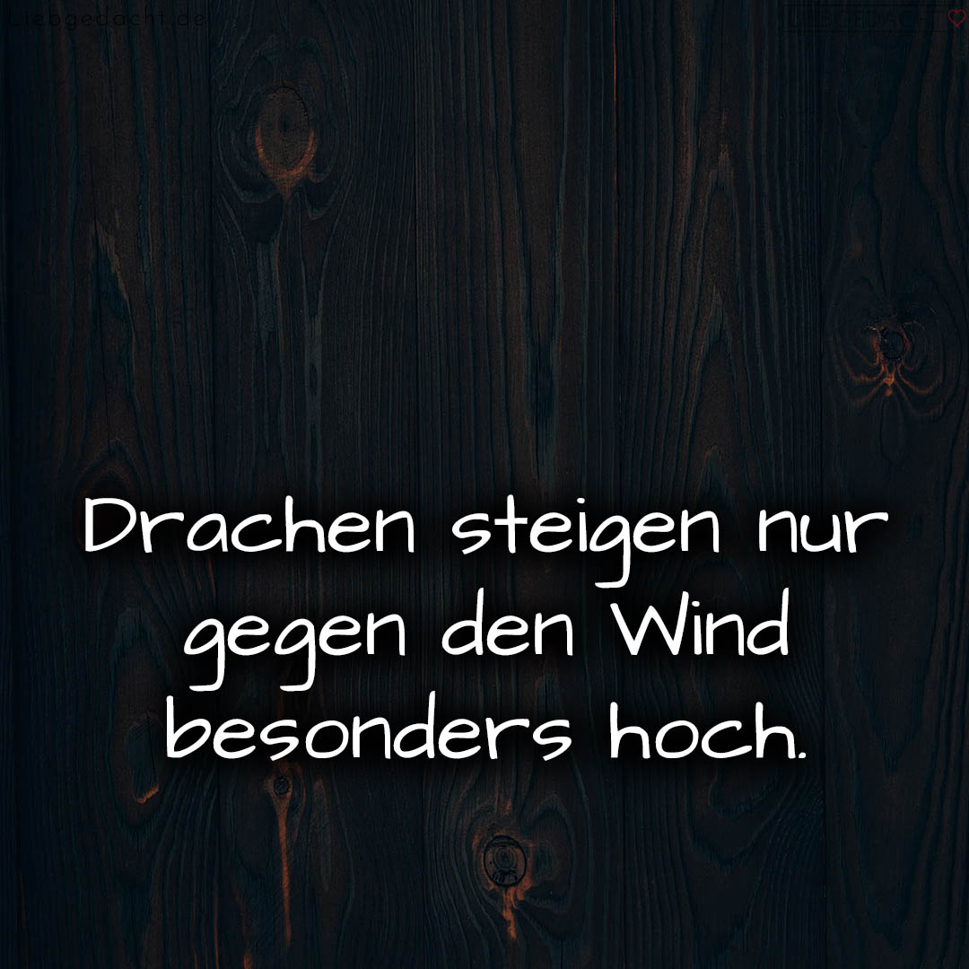 1716374792664dcd0828262