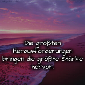 1716374800664dcd102aa06