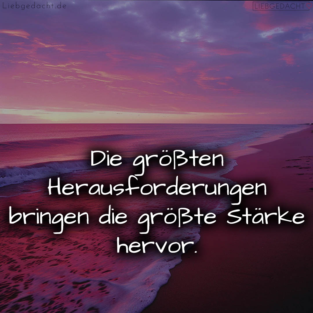 1716374800664dcd102aa06