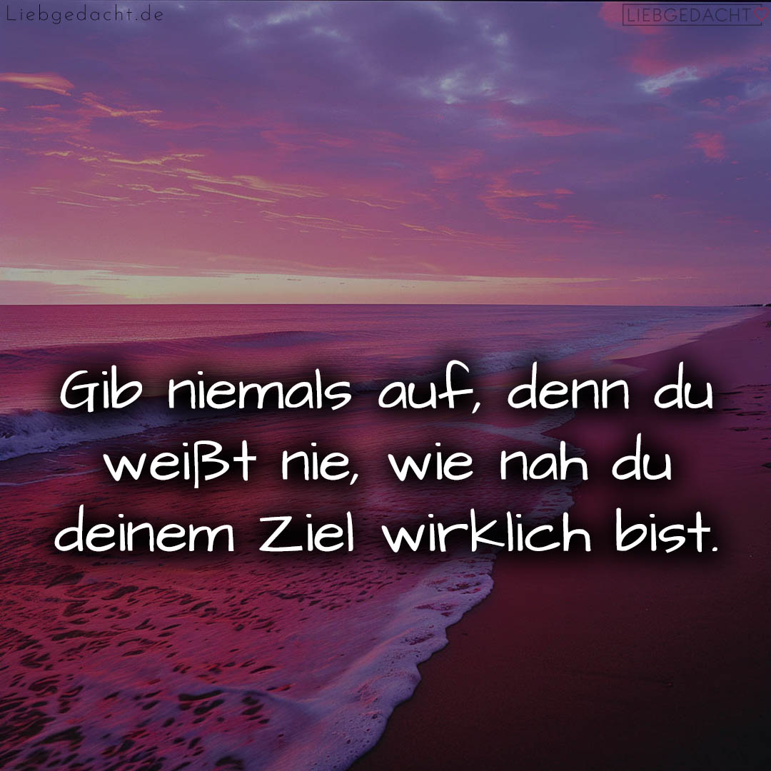 1716374802664dcd12c9bd7