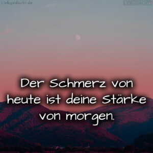 1716374856664dcd48ac224