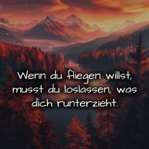 1716374858664dcd4aba5ae