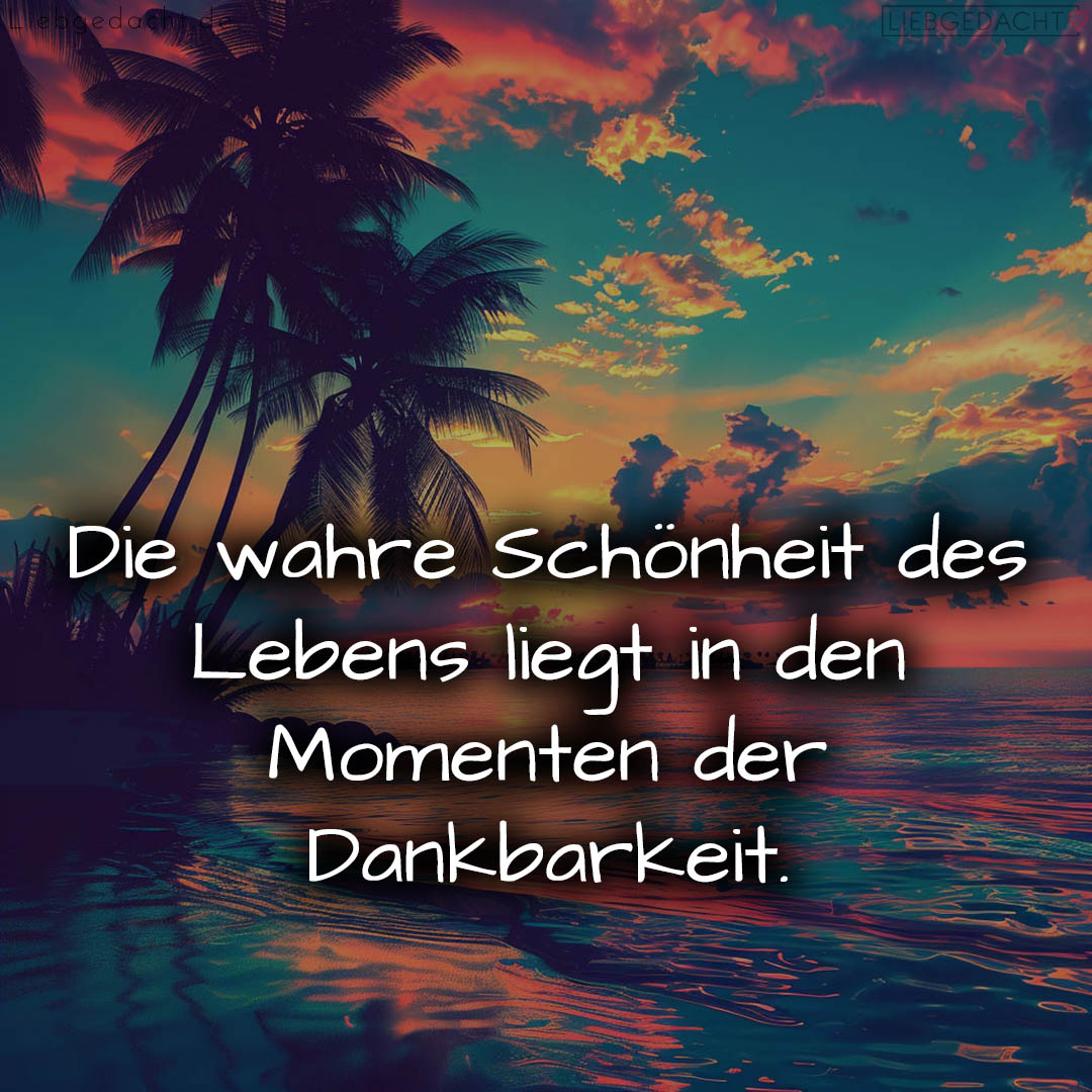 1716374866664dcd5238f45