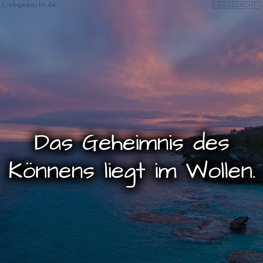 1716374874664dcd5a6afea