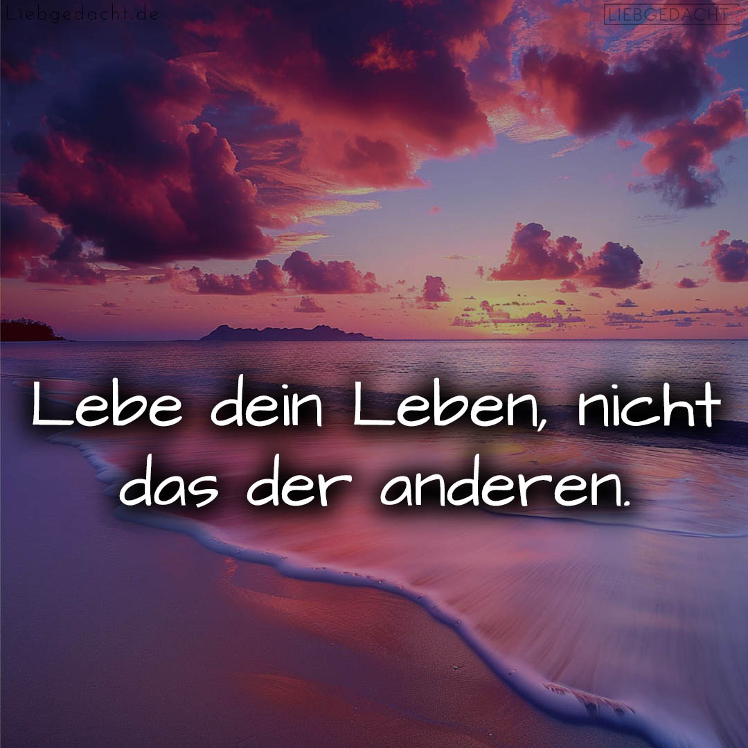 1716374894664dcd6eb01d9