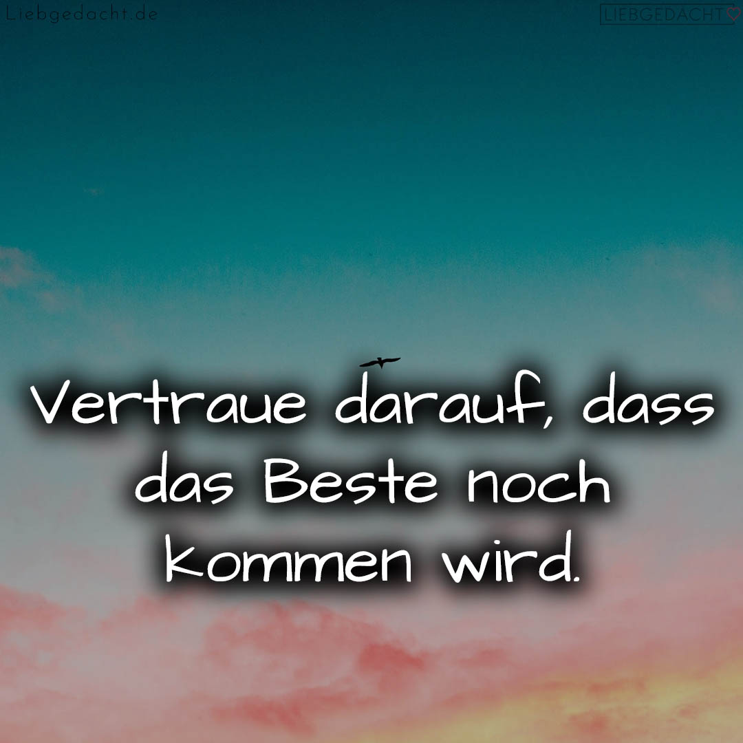 1716374897664dcd71e9970